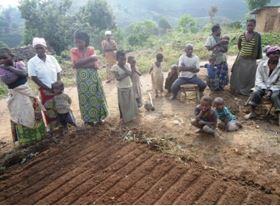 Agriculture 2