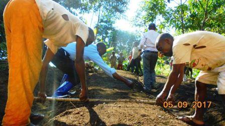 Agriculture 5